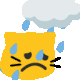 <catcryrain>