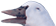 Hłe Hłe >:V